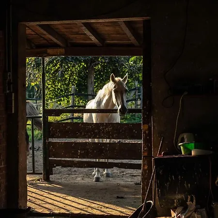 Moerenhof * Ксантен
