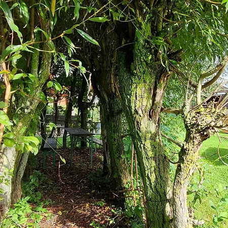 Moerenhof Апартаменты